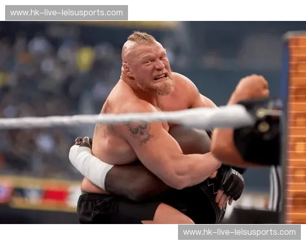 钢与铁的终极裁决：荷兰毁灭者vs布洛克·莱斯纳，格斗史上最令人血脉偾张的怪物史诗